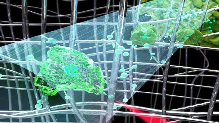 Hydrogel Stopperbild